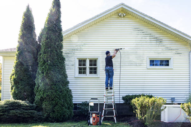 Local Pressure Washing Services in Elk Rapids, MI