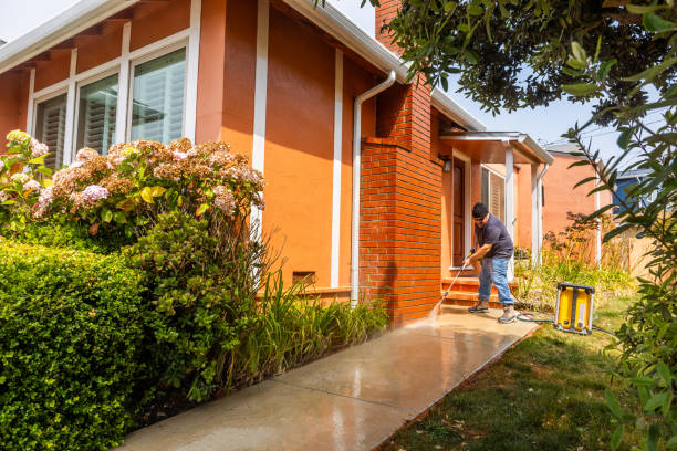 Best Roof Power Washing Services  in Elk Rapids, MI